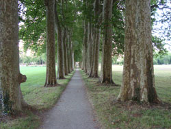 Parkanlage